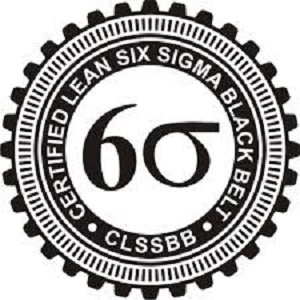 Project and Delivery Management professional