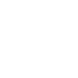 Project and Delivery Management professional