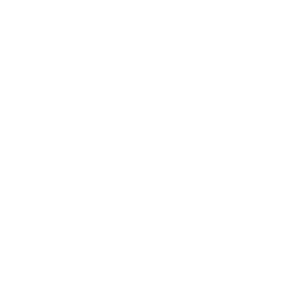 Project and Delivery Management professional